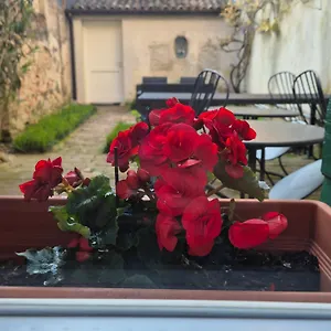 Nocleg ze śniadaniem 19 Borgo Cavour, Treviso